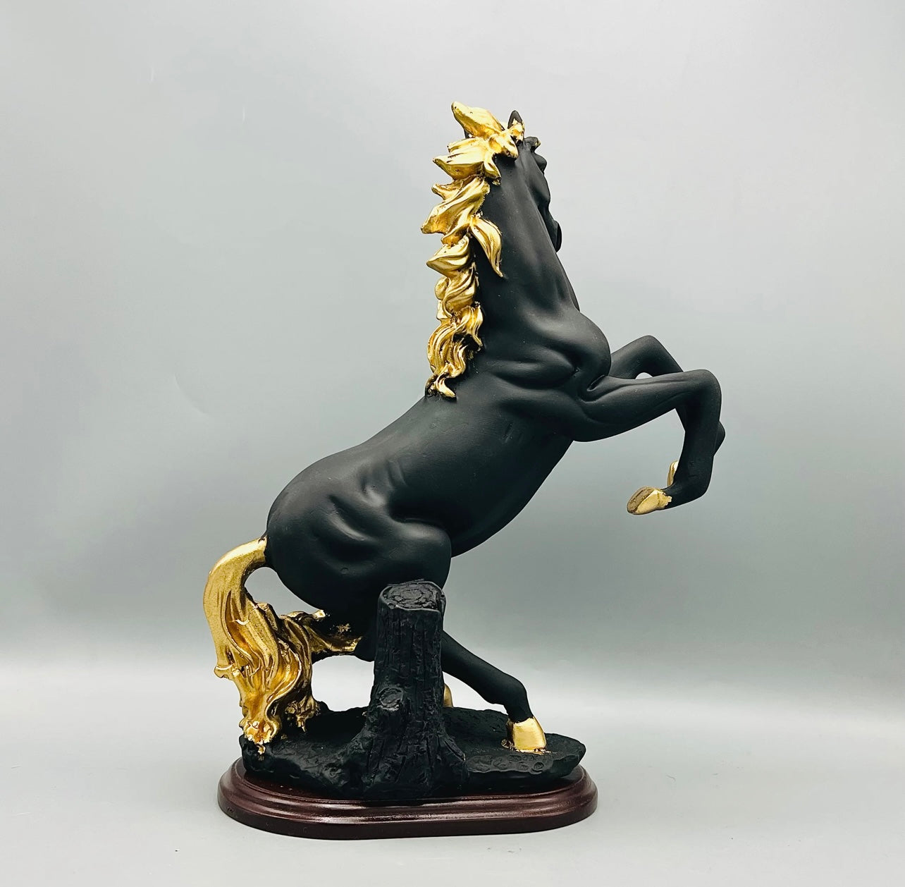 Ceramics Black Horse CB902