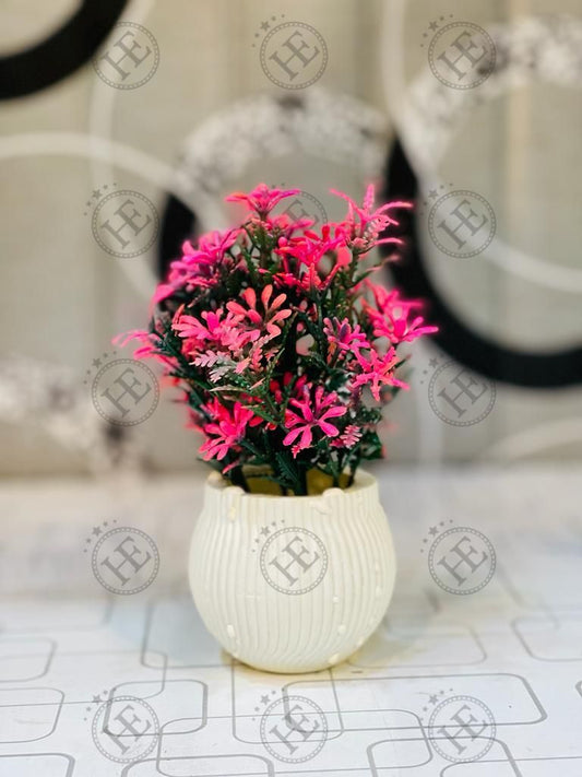 Flower Pot (5Pc Set) N024