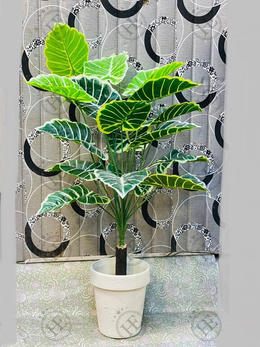 Money Plant 18 Leaves W505